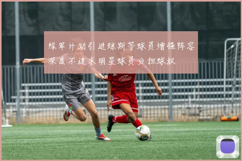 绿军计划引进琼斯等球员增强阵容深度不追求明星球员分担球权